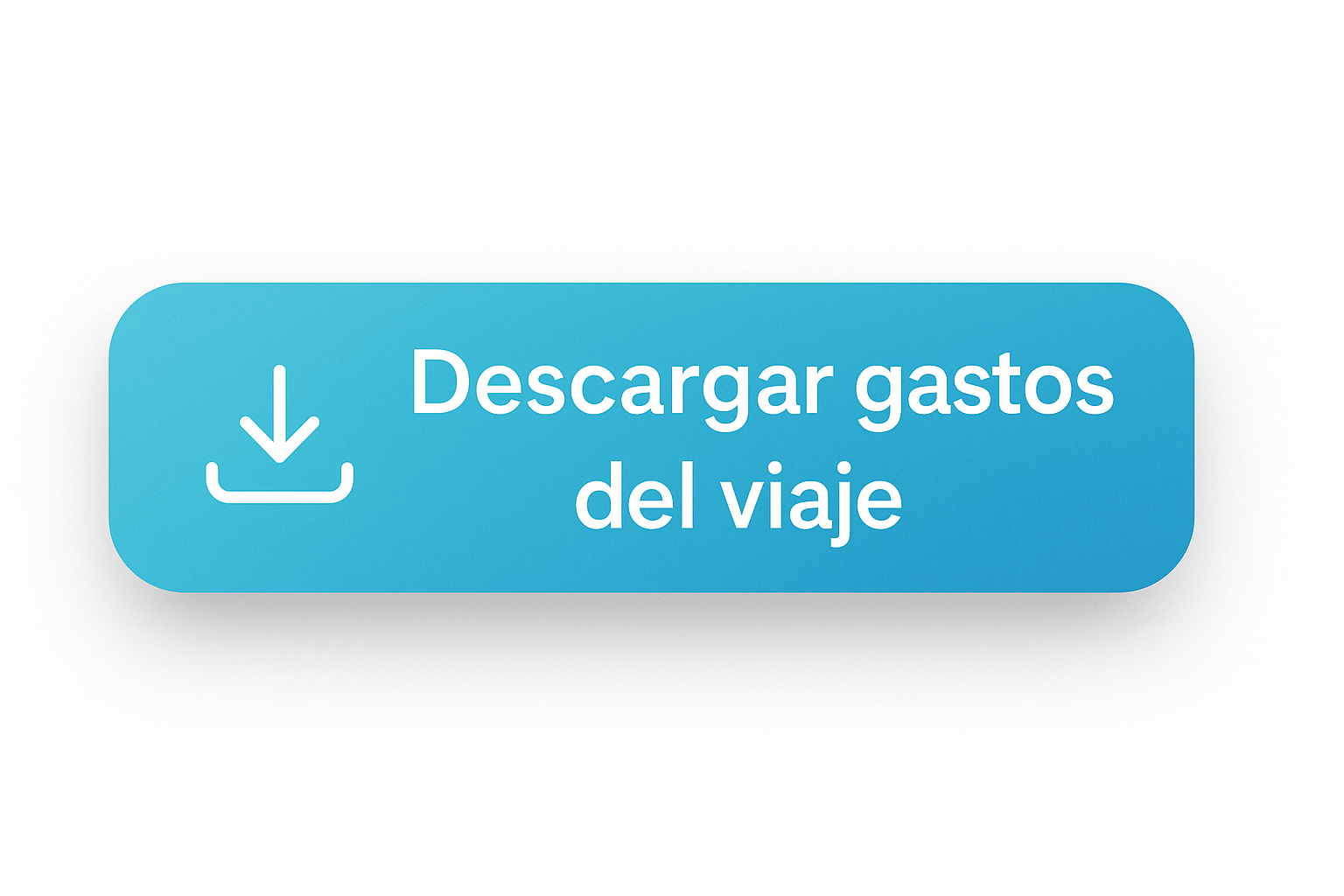 Descargar gastos del viaje
